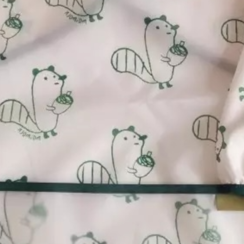 Bib i papërshkueshëm nga uji me mëngë dhe xhep – me dizajn squirrels